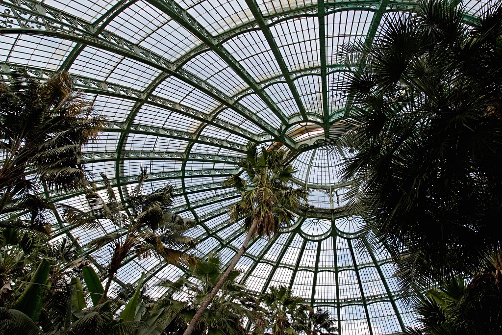 Serres royales de Laeken Koninklijke laken Koninklijk belgie serre kasteel hdr art nouveau tuin bloemen bloem architect Alphonse Balat Koning Leopold II plantencollectie